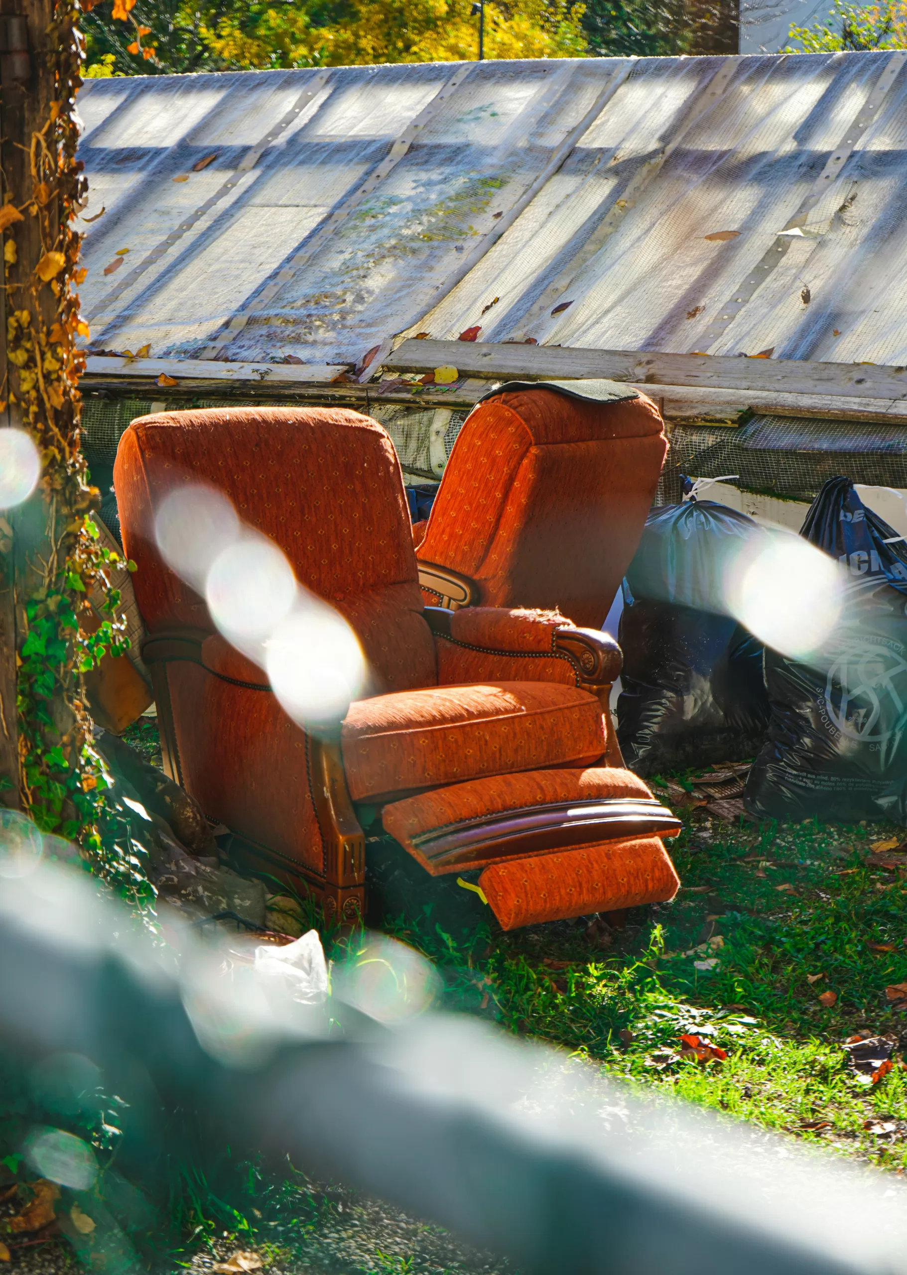 meizhi-lang-EsHhOIANfzY-unsplash Old cusion chair by a tree in a garden